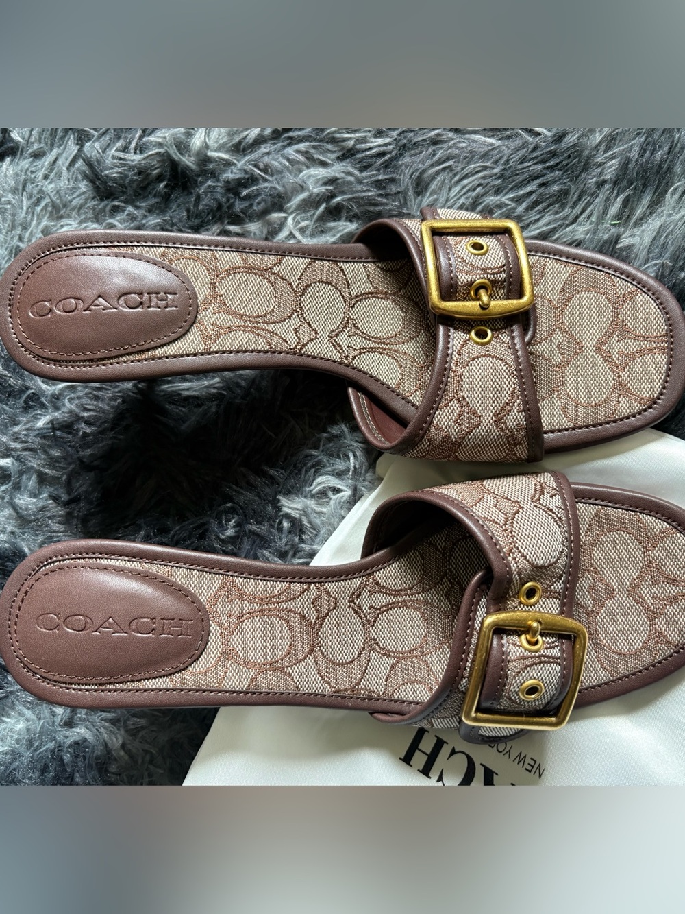 Coach Brown Signature Canvas Buckle Slide Mules with Gold Buckles